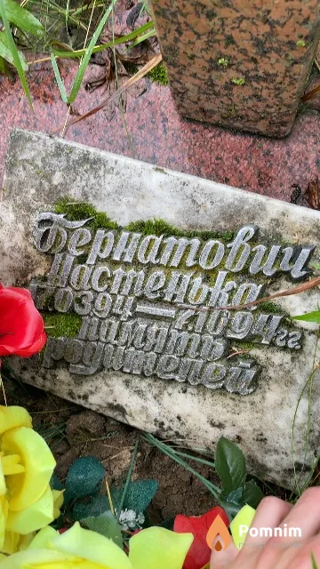 Бернатович Анастасия