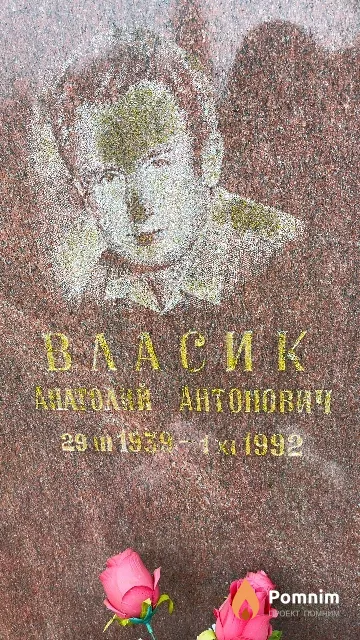 Власик Анатолий Антонович