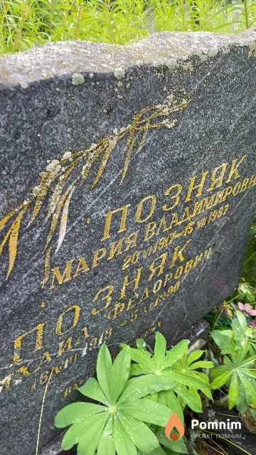 Позняк Мария Владимировна