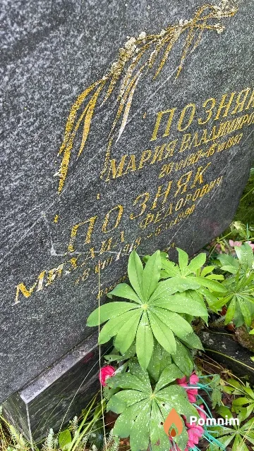 Позняк Михаил Федорович