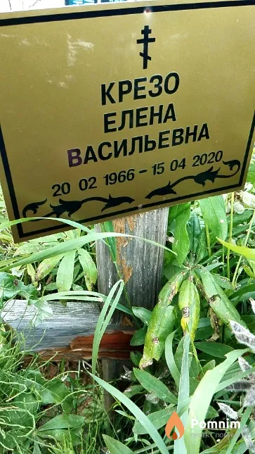 Крезо Елена Васильевна