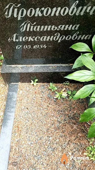 Прокопович Татьяна Александровна