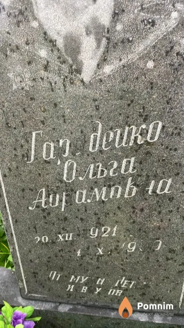 Гародейко Ольга Абрамовна