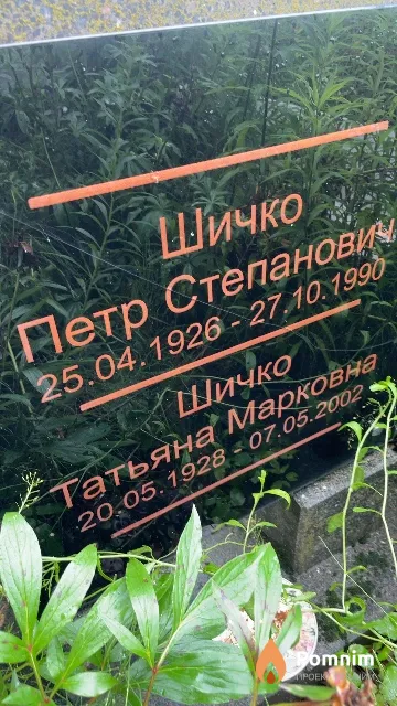 Шичко Татьяна Марковна