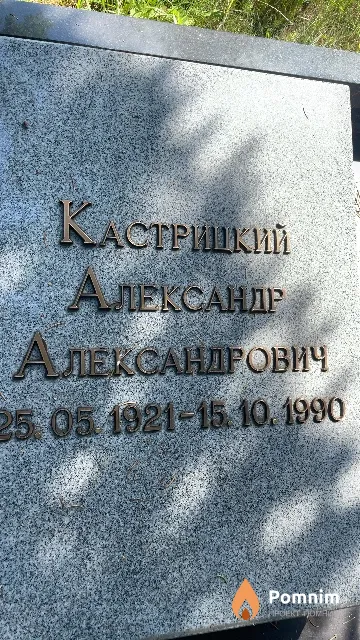 Кастрицкий Александр Александрович