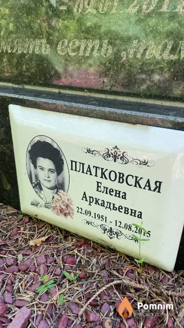 Платковская Елена Аркадьевна