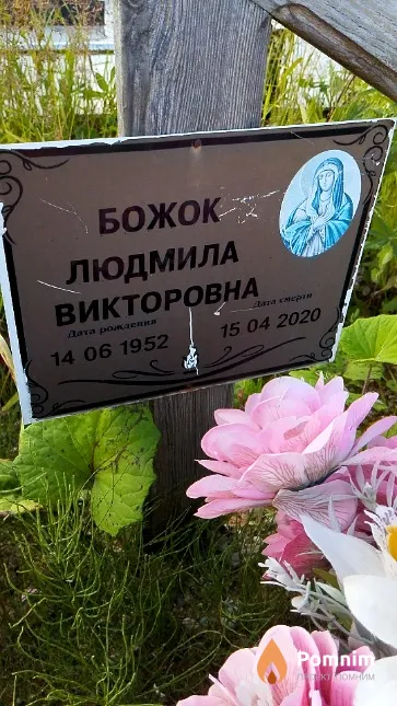 Божок Людмила Викторовна