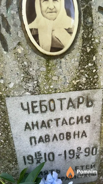 Чеботарь Анастасия Павловна