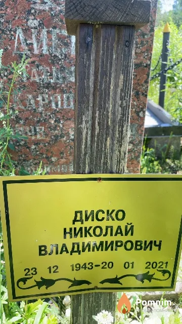 Диско Николай Владимирович