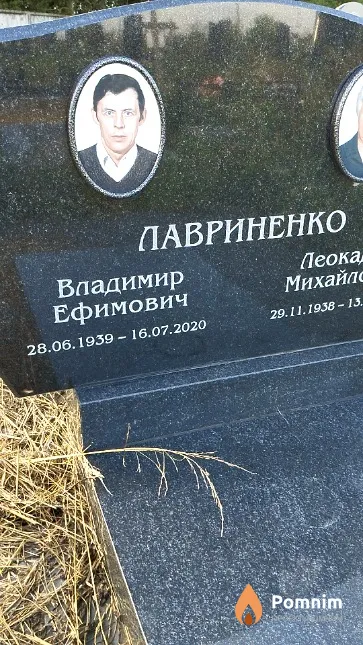 Лавриненко Владимир Ефимович