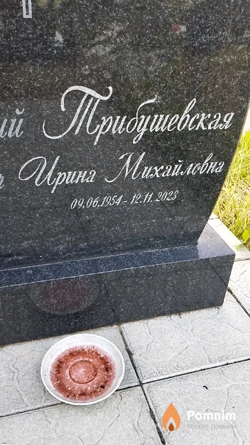 Трибушевская Ирина Михайловна