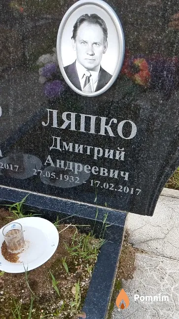 Ляпко Дмитрий Андреевич