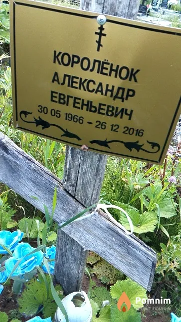 Королёнок Александр Евгеньевич