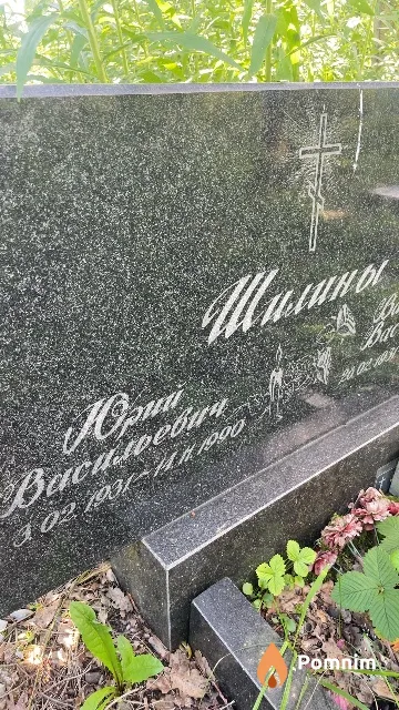 Шилин Юрий Васильевич