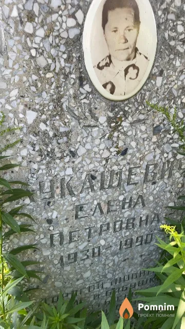 Укашевич Елена Петровна