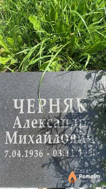 Черняк Александр Михайлович