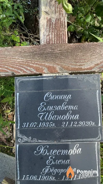 Синица Елизавета Ивановна
