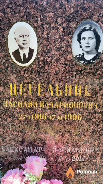 Цегельник Елена Васильевна
