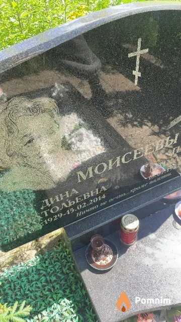 Моисеева Дина Анатольевна