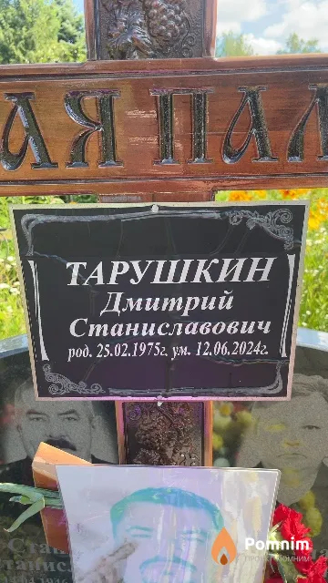 Тарушкин Дмитрий Станиславович