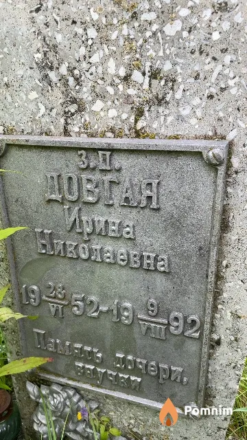 Довгая Ирина Николаевна