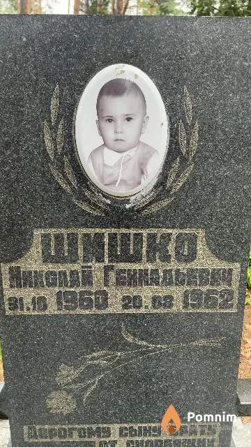 Шишко Николай Геннадьевич