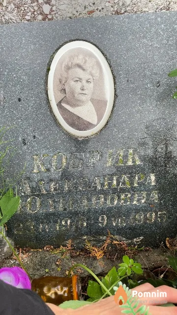 Кобрик Александра Юлиановна