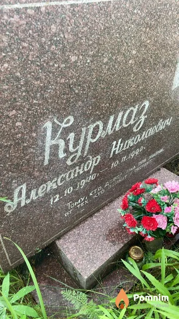 Курмаз Александр Николаевич
