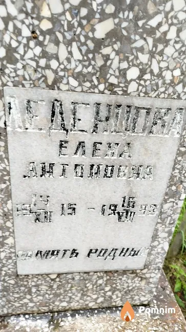 Леденцова Елена Антоновна