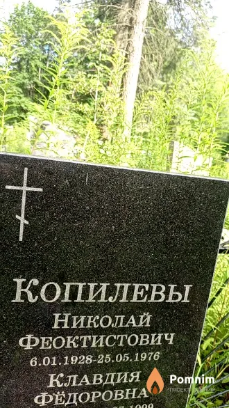 Копилев Николай Феоктистович