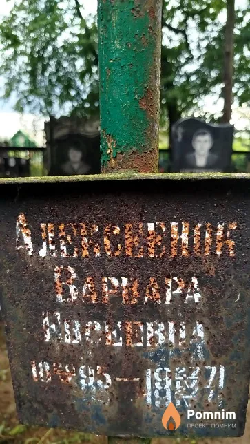 Алекссенок Варвара Евгеньевна