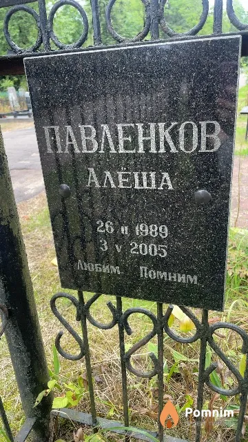 Павленков Алеша