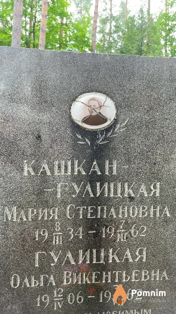 Гулицкая Ольга Викентьевна