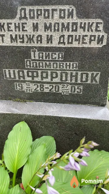 Шафаронок Таиса Адамовна