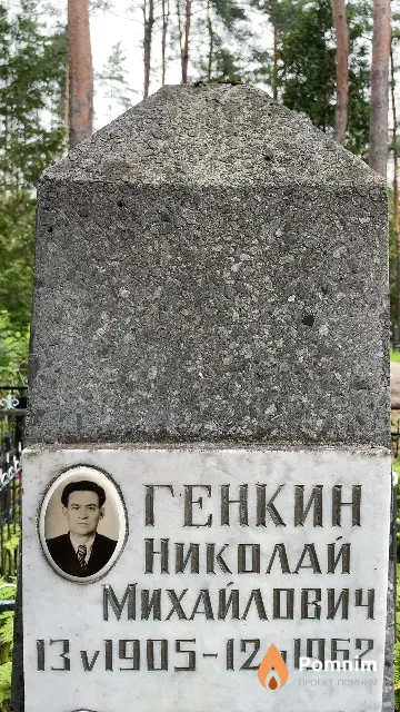 Генкин Николай Михайлович