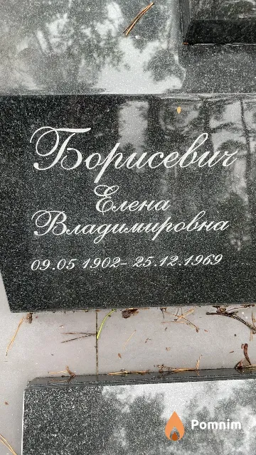 Борисевич Елена Владимировна