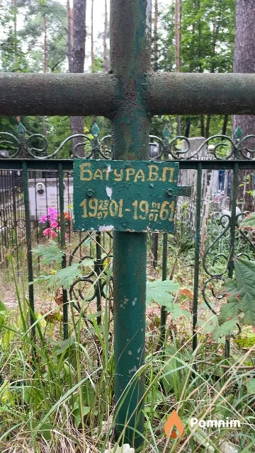Батура В. П.