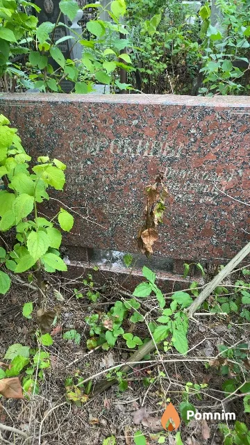 Сорокин Женечка
