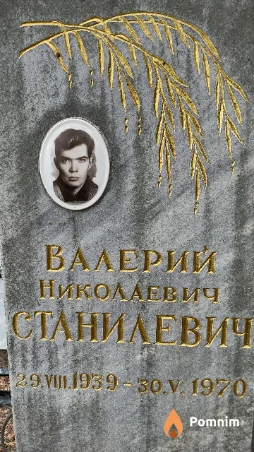 Станилевич Валерий Николаевич