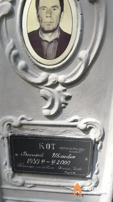 Кот Василий Иванович