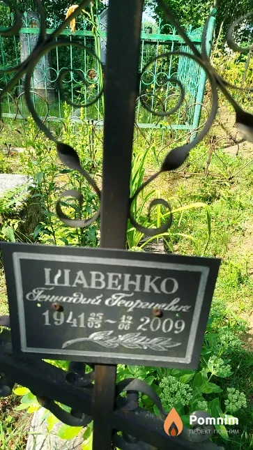 Шавенко Геннадий Георгиевич