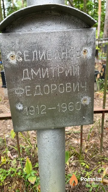 Селиванов Дмитрий Федорович
