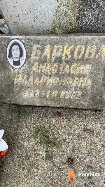 Баркова Анастасия Илларионовна