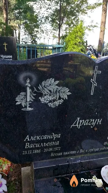 Драгун Александра Васильевна