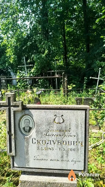 Сколубович Виталий Александрович