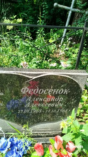 Федосенок Александр Алексеевич