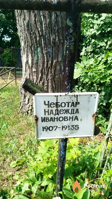 Чеботар Надежда Ивановна