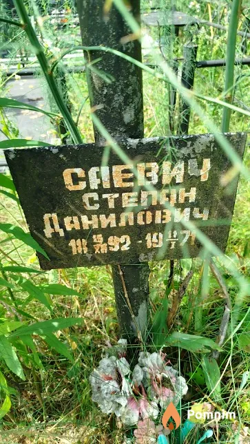 Саевич Степан Данилович
