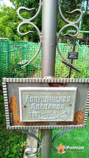 Лапушинская Аделаида