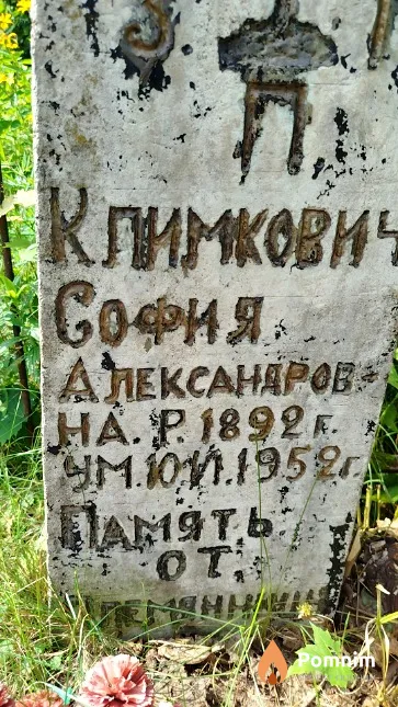 Климкович София Александровна